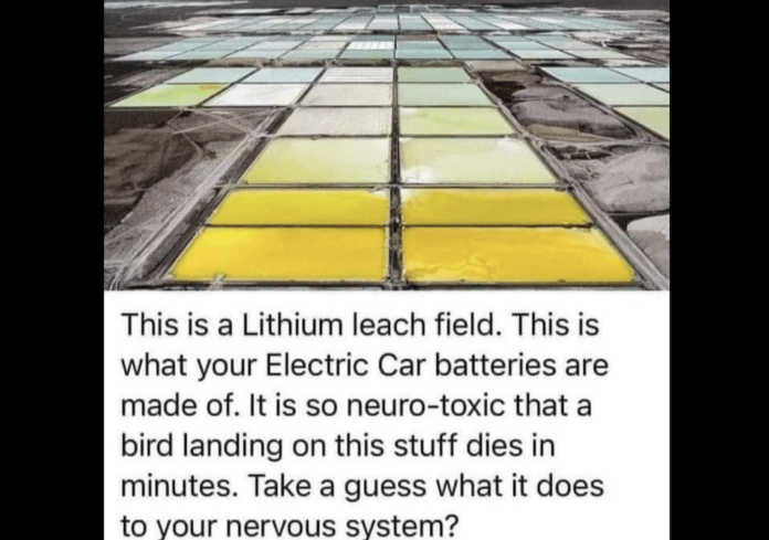 No evidence for sudden bird deaths from lithium evaporation ponds, contrary to claims in viral meme
