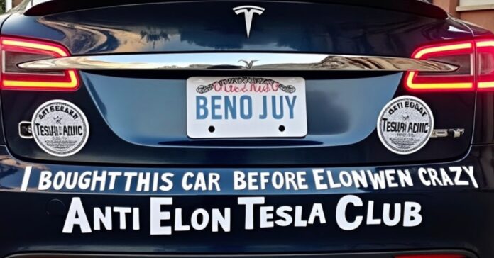 Anti-Elon bumper sticker business gives insights into Tesla owners turning against him